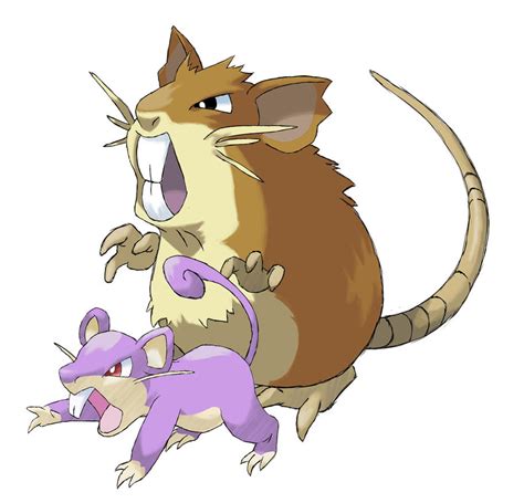rattata pokemon evolution
